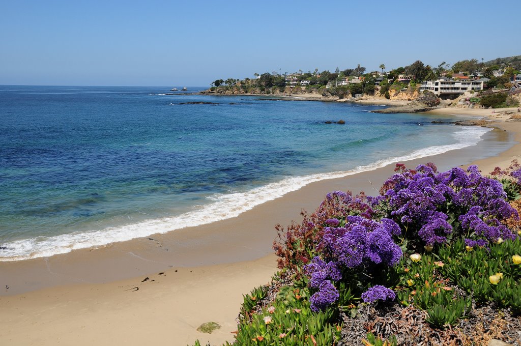 Bluebird Beach | United States, California, Laguna Beach