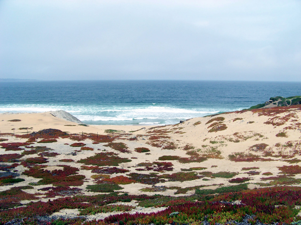 SHIPWRECKS AND SEA MONSTERS / California / Bay of Monterey