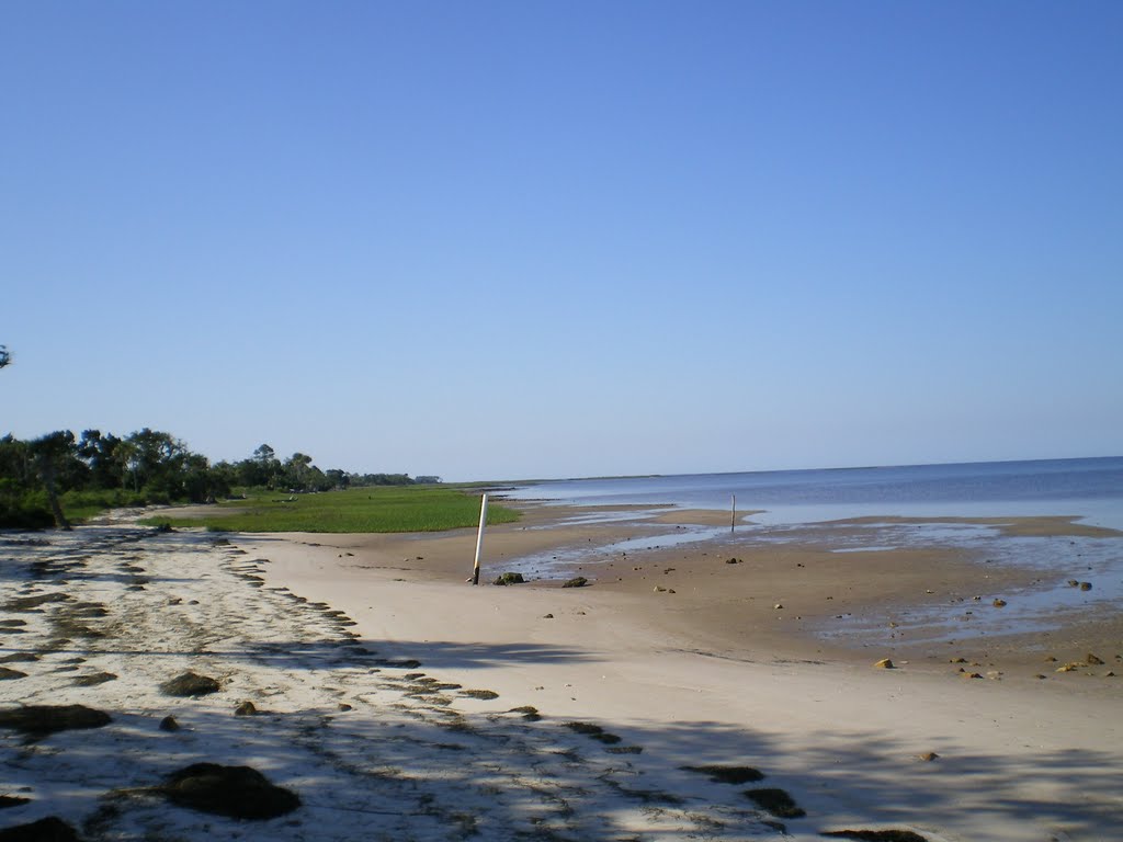 Discover Shired Island Trail Beach: A Hidden Gem for Nature Lovers