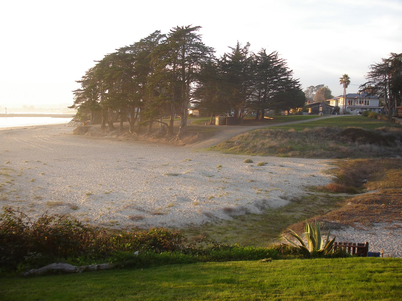 Twin Lakes State Beach Blacks Beach Santa Cruz CA USA