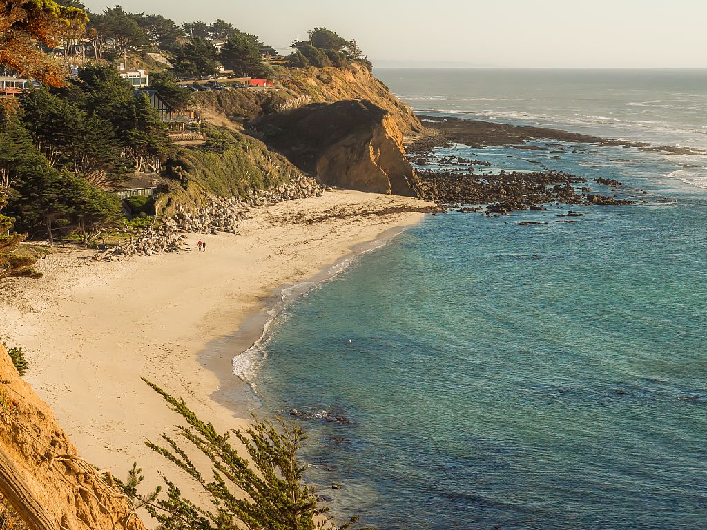 Seal Cove, Animal Attraction